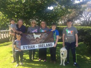 Syrah-Ireland